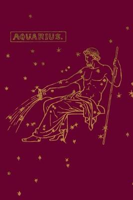 Cover of Aquarius Zodiac