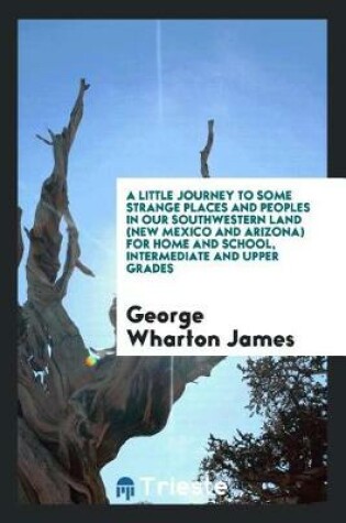 Cover of A Little Journey to Some Strange Places and Peoples in Our Southwestern Land (New Mexico and Arizona) for Home and School, Intermediate and Upper Grades