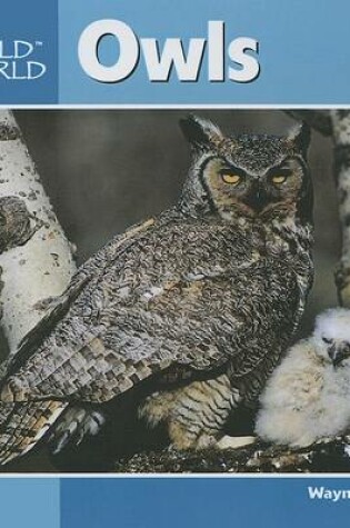 Cover of Owls