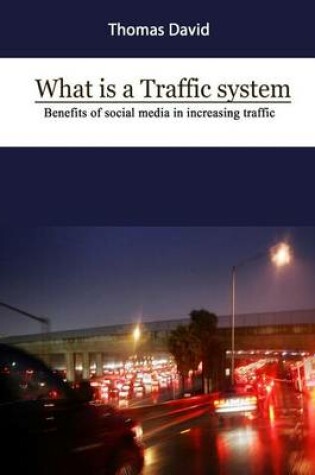 Cover of What Is a Traffic System