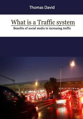 Book cover for What Is a Traffic System