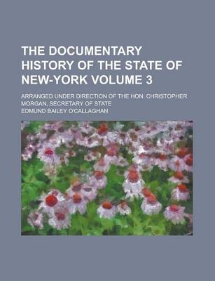 Book cover for The Documentary History of the State of New-York; Arranged Under Direction of the Hon. Christopher Morgan, Secretary of State Volume 3