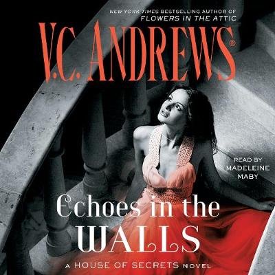 Book cover for Echoes in the Walls