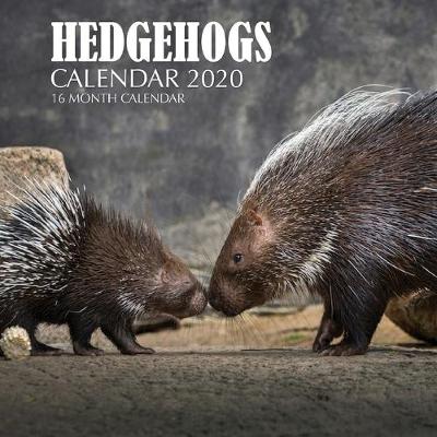 Book cover for Hedgehogs Calendar 2020