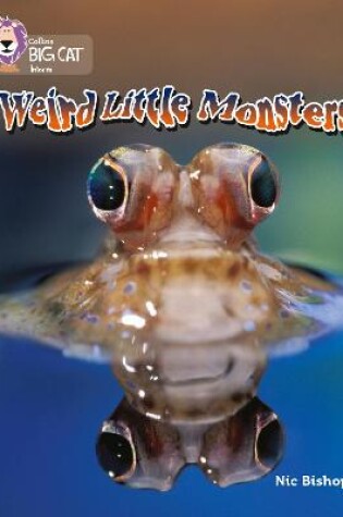 Cover of Weird Little Monsters