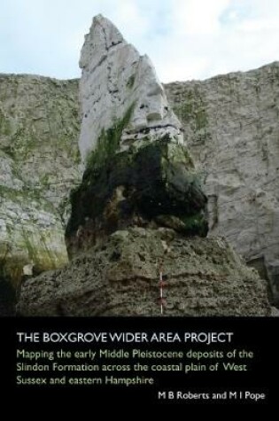 Cover of The Boxgrove Wider Area Project