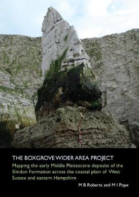 Cover of The Boxgrove Wider Area Project