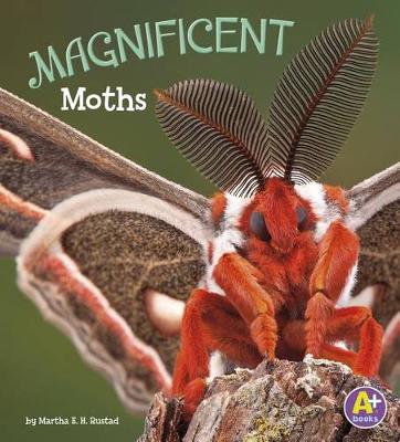 Book cover for Magnificent Moths (Bugs are Beautiful!)
