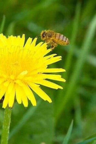 Cover of Dandelion Yellow Flower Natural Health Healthy Weed Weeds Gardening Gardener