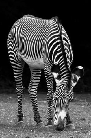 Cover of Peaceful Zebra Black and White, for the Love of Animals