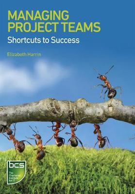Book cover for Managing Project Teams