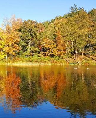 Cover of Autumn School Composition Book Fall Lake Foliage Reflection 130 Pages