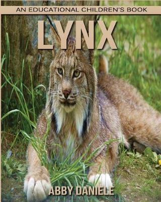 Book cover for Lynx! An Educational Children's Book about Lynx with Fun Facts & Photos