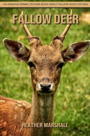 Cover of Fallow Deer