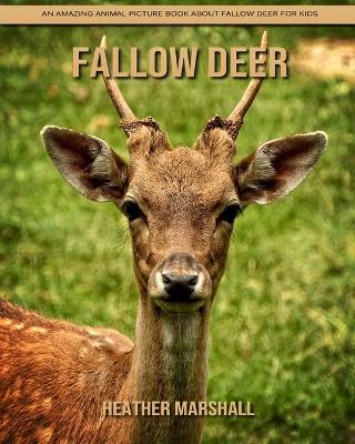 Book cover for Fallow Deer