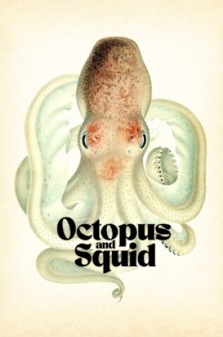 Cover of Octopus & Squid