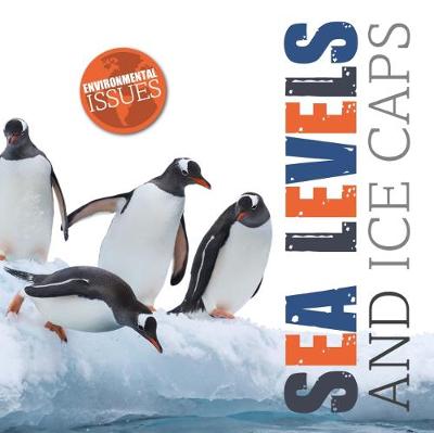 Cover of Sea Levels and Ice Caps