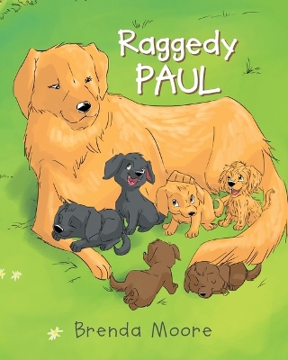 Book cover for Raggedy Paul