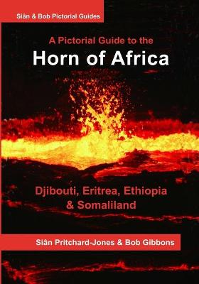 Book cover for The Horn of Africa