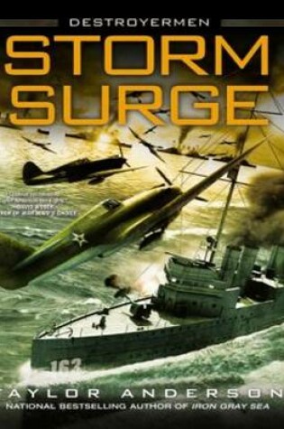 Cover of Storm Surge