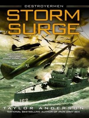 Book cover for Storm Surge