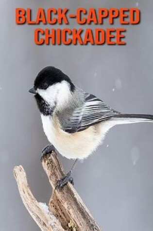 Cover of Black-Capped Chickadee