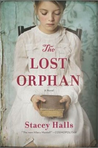 Cover of The Lost Orphan
