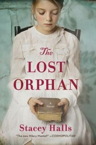 Cover of The Lost Orphan