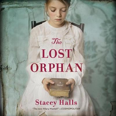 Book cover for The Lost Orphan