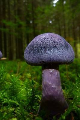 Book cover for Cortinarius Violaceus Violet Blue Mushroom, for the Love of Nature