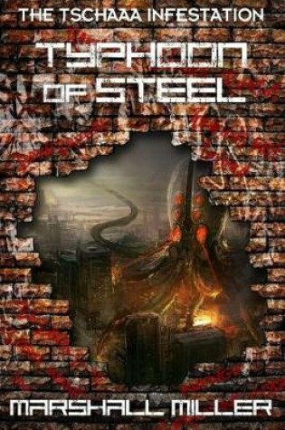 Cover of Typhoon of Steel
