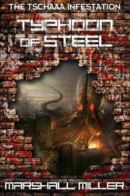 Book cover for Typhoon of Steel