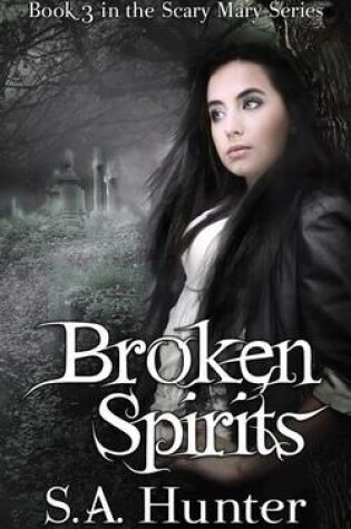 Cover of Broken Spirits