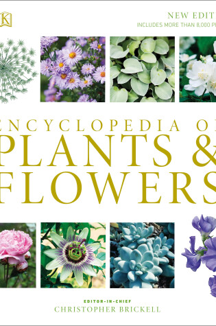 Cover of Encyclopedia of Plants and Flowers