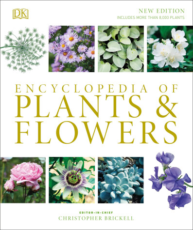 Book cover for Encyclopedia of Plants and Flowers