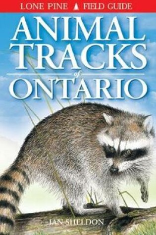 Cover of Animal Tracks of Ontario