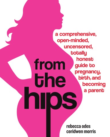 Book cover for From the Hips