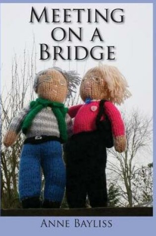 Cover of Meeting on a Bridge