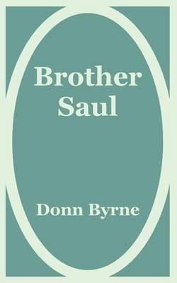 Book cover for Brother Saul