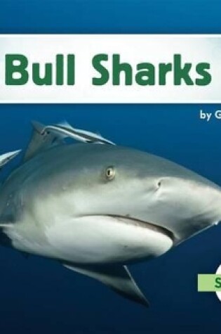 Cover of Bull Sharks