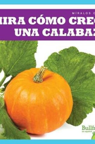 Cover of Mira Cómo Crece Una Calabaza (Watch a Pumpkin Grow)