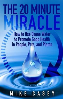 Book cover for The 20 Minute Miracle