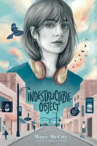 Cover of Indestructible Object