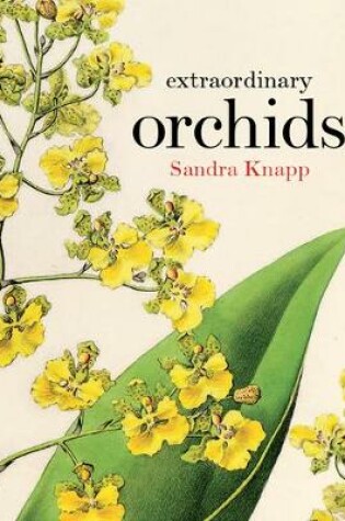 Cover of Extraordinary Orchids