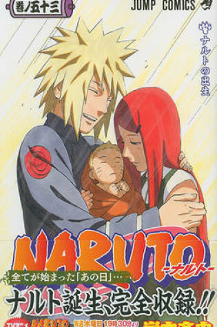 Cover of Naruto, V53