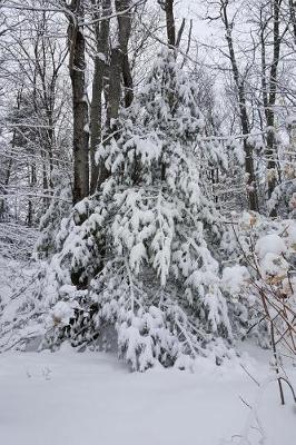 Cover of Snowy Forest Winter Weather Journal