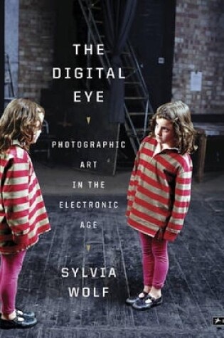 Cover of Digital Eye: Photographic Art in the Electronic Age