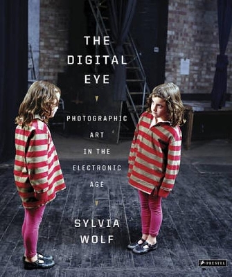 Book cover for Digital Eye: Photographic Art in the Electronic Age