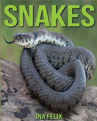 Book cover for Snakes