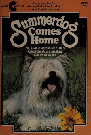 Book cover for Summerdog Comes Home